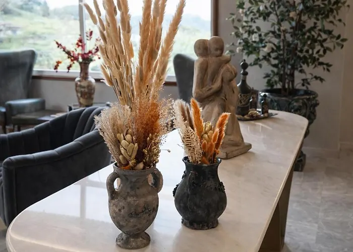 San Rosendo Отель